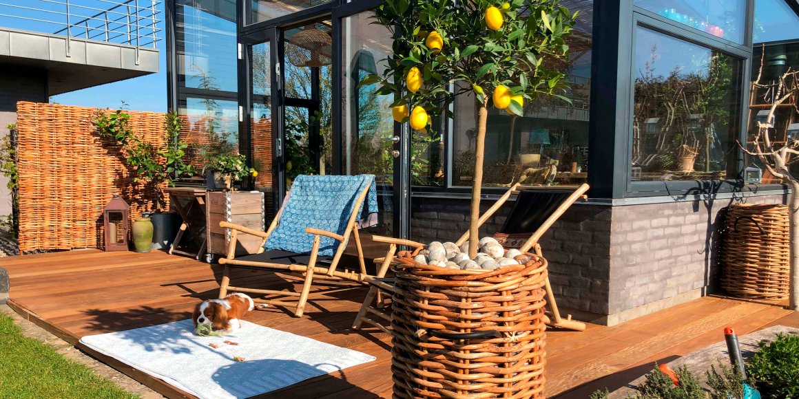 Er du på udkig efter de nyeste produkter?