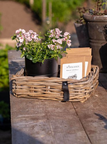 Firkantede Rattanbakker