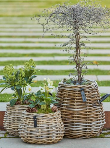 Runde Rattankurve (Kubu Rattan)