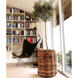 Maxi Rund Rattankurv (inkl. pose)