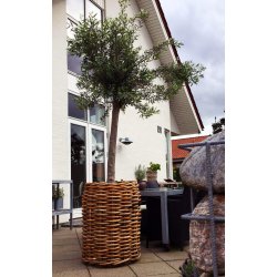 Mega Rund Rattankurv (inkl. pose)