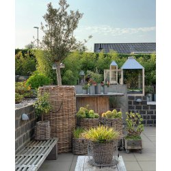 Mammut Rund Rattankurv (inkl. pose)