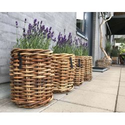 Rund Rattankurv (st m. 3 stk. / 3 str.) - inkl. poser