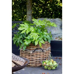 Rund Rattankurv (st m. 3 stk. / 3 str.) - inkl. poser