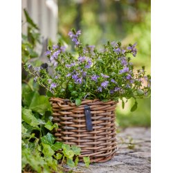 Rund Rattan Urtepotte (Cylindrisk) - Sarang (st m. 3 stk. / 3 str.)