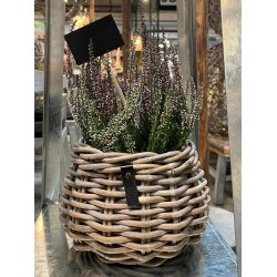 "P�re" Rund Rattanurtepotte - Kubu (inkl. pose)