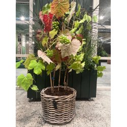 Mini Low Rund Rattankurv - Kubu (inkl. pose)