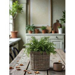 Maxi Low Rund Rattankurv - Kubu (inkl. pose)