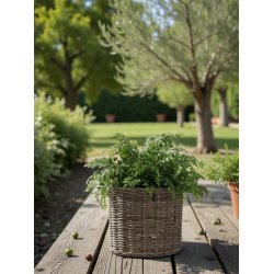 Rund Rattankurv - Kubu (s�t m. 2 stk. / 2 str.) - inkl. poser