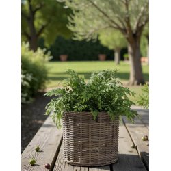 Rund Rattankurv - Kubu (s�t m. 5 stk. / 4 str.) - inkl. poser