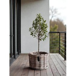 Rund Rattankurv - Kubu (s�t m. 5 stk. / 4 str.) - inkl. poser