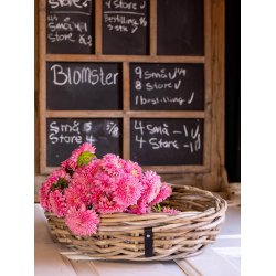 Mini Rund Rattanbakke - Kubu