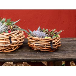 Mini Rund Rattanbowle (inkl. pose)