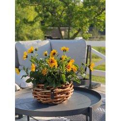 Mini Rund Rattanbowle (inkl. pose)