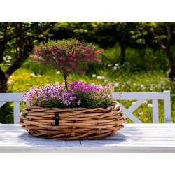 Mega Rund Rattanbowle (inkl. pose)