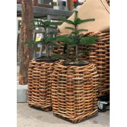 Mini Firkantet Rattankurv (inkl. pose)