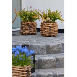 Mini Low Firkantet Rattankurv (inkl. pose)