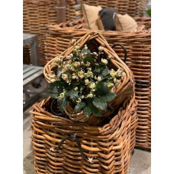 Maxi Low Firkantet Rattankurv (inkl. pose)