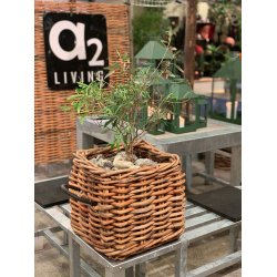 Maxi Low Firkantet Rattankurv (inkl. pose)