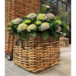 Firkantet Rattankurv (st m. 3 stk. / 3 str.) - inkl. poser