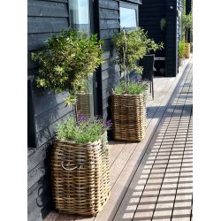 Firkantet Rattankurv (st m. 4 stk. / 3 str.) - inkl. poser