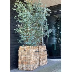 Firkantet Rattankurv (st m. 4 stk. / 3 str.) - inkl. poser