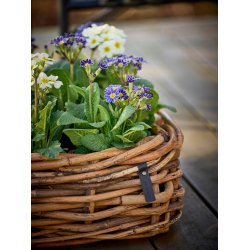 Maxi Firkantet Rattanbowle (inkl. pose)