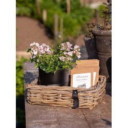 Firkantet Rattanbakke - Kubu (st m. 3 stk. / 3 str.)