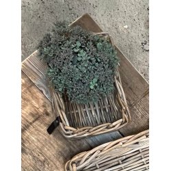 Mini Firkantet Rattanbakke - Kubu