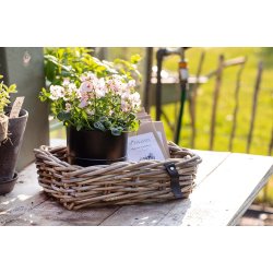 Mini Firkantet Rattanbakke - Kubu