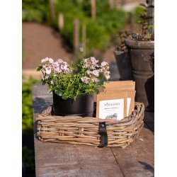 Midi Firkantet Rattanbakke - Kubu