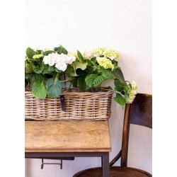 Aflang Rattanbakke - Kubu (st m. 3 stk. / 3 str.)