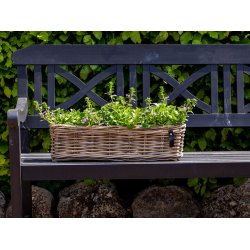 Aflang Rattanbakke - Kubu (st m. 3 stk. / 3 str.)