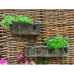 Aflang Rattanbakke - Kubu (st m. 3 stk. / 3 str.)