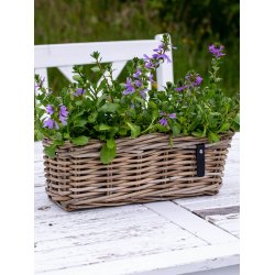 Mini Oblong Rattan Tray - Kubu