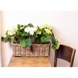 Mini Oblong Rattan Tray - Kubu