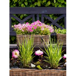 Mini Oblong Rattan Tray - Kubu