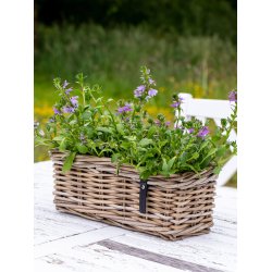 Mini Oblong Rattan Tray - Kubu