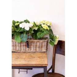 Mini Oblong Rattan Tray - Kubu