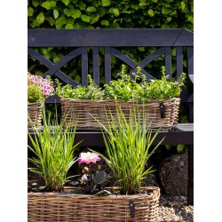 Midi Aflang Rattanbakke - Kubu