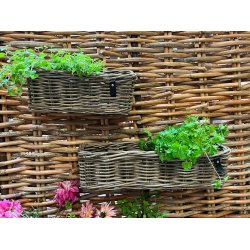 Midi Aflang Rattanbakke - Kubu