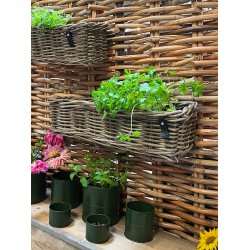 Midi Aflang Rattanbakke - Kubu