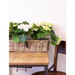 Maxi Aflang Rattanbakke - Kubu