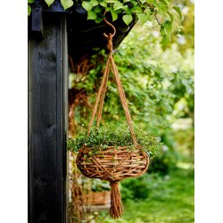 Ophngsreb - Coconut Fibre