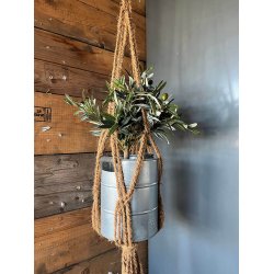 Ophngsreb - Coconut Fibre