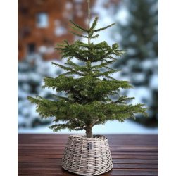 Maxi Rund Rattan Opsats/Juletrskjuler - Kubu