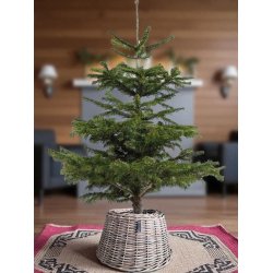 Maxi Rund Rattan Opsats/Juletrskjuler - Kubu