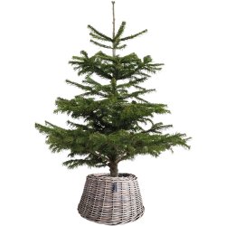 Maxi Rund Rattan Opsats/Juletrskjuler - Kubu