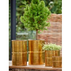 Rattan Hegn, Horisontal (40 x 150)