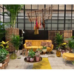 Rattan Hegn, Vertikal (120 x 150)